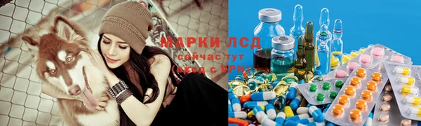 бошки Аркадак