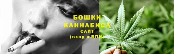 бошки Аркадак